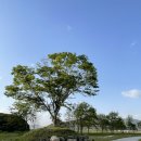 금시당유원지 화장실 이미지