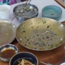 영농야채마을