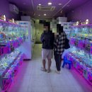 할렘가뽑기 이미지