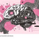 뉴런테크 | [빅테크칼럼] AI와 인간 뇌와의 상관관계…AI 처리 방식, 일상 어휘, 그리고 뇌 신경 모델링