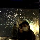 아르떼뮤지엄 이미지