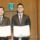 유빛 이미지