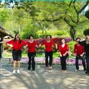 라인댄스지도사(자격) 이미지