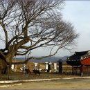 정선전씨 효부문 티스토리