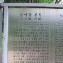 이도리