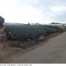 인성리-4 이미지