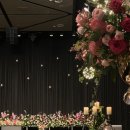 정한스크린레드