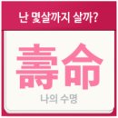 대구종합유통단지 산업용재관 이미지