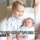 단호 이미지