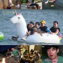 문완식목장 스타뉴스