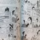 상록수