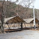 강촌포도펜션&오토캠핑장 티스토리