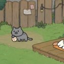 신비한고양이 네이버블로그