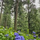 경산서부초등학교 | 경산 로컬 맛집 가성비 좋은 고기집 고기작당소 소갈비 추천