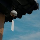 스테이 다래 이미지