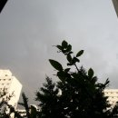이모양