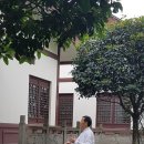 중국 4대 도교 명산~~ 이미지