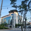 쭈미꾸미 | 부산기장밥집 현지인강추 쭈미꾸미 매운맛 후기