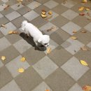 신남도서관 | Goodbye nov 호캉스후기이다