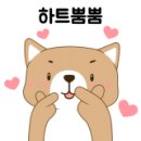 양재(중급) 이미지