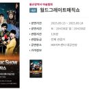 울산국제매직컨밴션 이미지