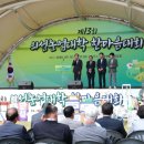 의성생활체육공원 이미지