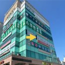 [도안동 필라테스] 8년 차 필테녀의 도안 스텔라 요가&amp;필라테스 솔직후기(플라잉요가까지)