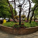 산내들부동산중개(주) 이미지