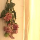 성남-신흥-0505 이미지