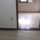 대항병원.연세사랑병원 이미지