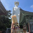 칠성구두 | 맹랑하게 럭작하고 다니는 세무 공시생의 칠성날 기념 면접 후기