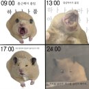 검색광고마케터 1급 25년 3월 22일 시험 | 비전공자 직장인 독학 합격 후기 | 오답노트 파일 공유