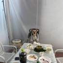 컴페니언바이주문진 이미지