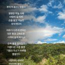 무지개 동산 티스토리