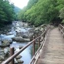 산울림트래킹