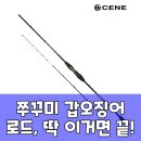 세네일 | 세네 쭈갑 로드 B150, 후기 분석으로 파헤친 핵심 정보