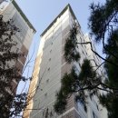 목동중앙로 이미지