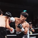 케이오복싱 이미지