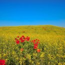 한문교실 이미지