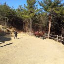 사천승마장 이미지