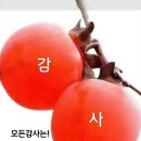 &#39;~때문에&#39;를 &#39;~덕분에&#39;로... 이미지