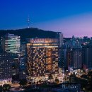 노보텔 앰배서더 서울 동대문 호텔 이미지