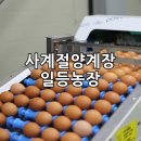 사계절양계장 이미지