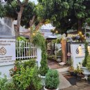 타이디앤 이미지