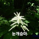 소백산 산행 이미지