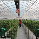 부창농장 이미지