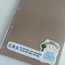 비엠케어 | [비엠교육] 트레이너교육 | 컨디셔닝 케어 전문가 CRS 과정 교육 자격증 후기