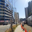 센트럴타워 5차 이미지