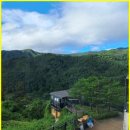 깊은사나래 이미지