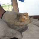 세심농장 이미지
